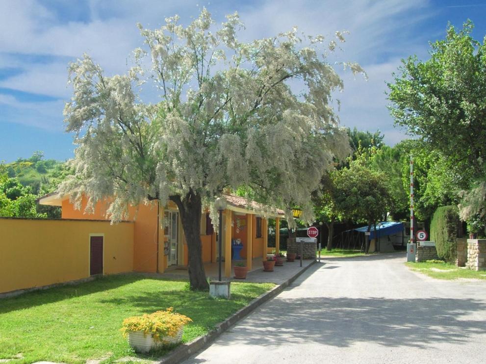 Camping Paradiso Пезаро Экстерьер фото